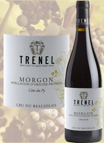 Morgon Côte du Py Trénel 2016