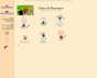 Interprofessional committee of the wines of Côtes de Provence